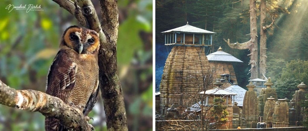 jageshwar_temple