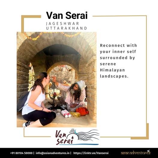 Revitalize Your Soul with Himalayan Forest Therapy