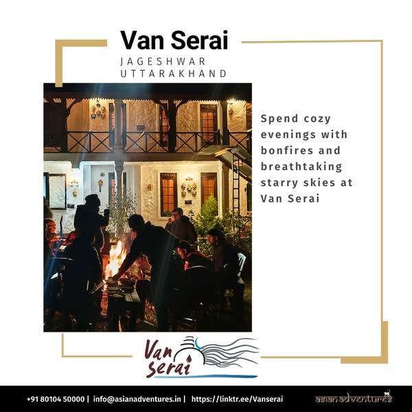 Unwind with Bonfires and Starry Skies