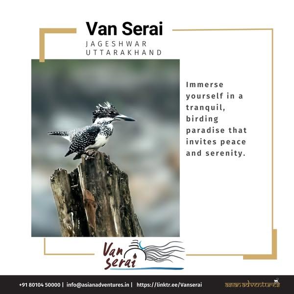 Birdsong and Serenity