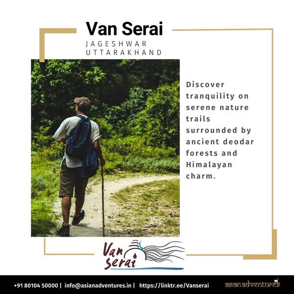 Peaceful Walks Through the Deodars