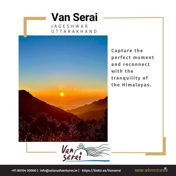 Sunset Views over Deodar Forests