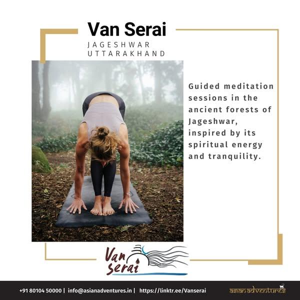 Mystic Forest Meditation